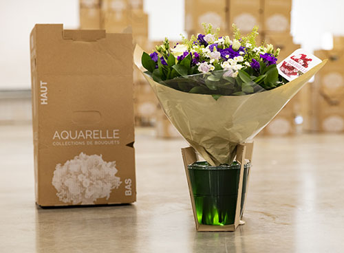 Livraison de fleurs à Lyon (69) | Aquarelle